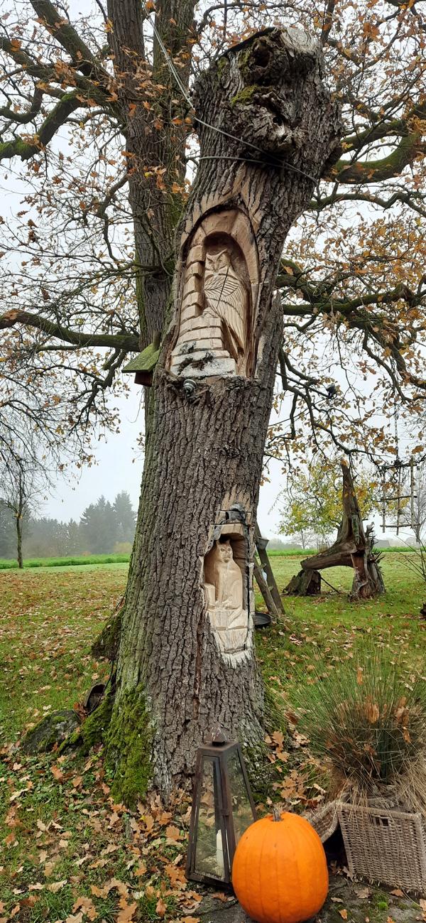 2025 11 07 10 CBT in Billerbeck 014