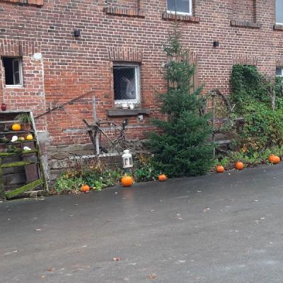 2025 11 07 10 Cbt In Billerbeck 012