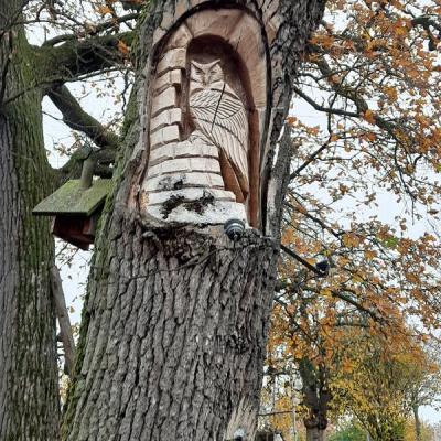 2025 11 07 10 Cbt In Billerbeck 015