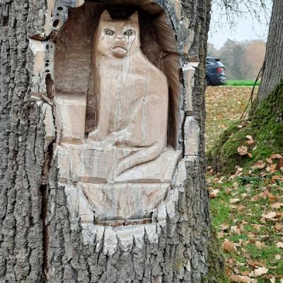 2025 11 07 10 Cbt In Billerbeck 017