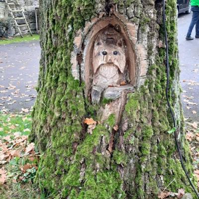 2025 11 07 10 Cbt In Billerbeck 018