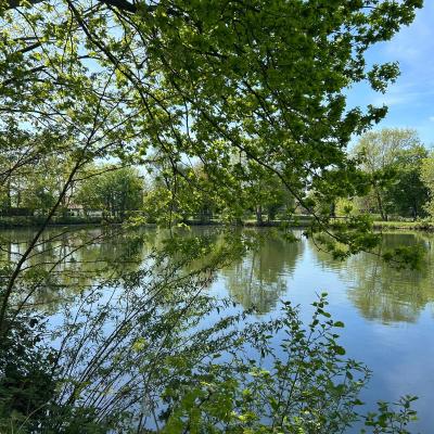 Whatsapp Image 2026 02 22 At 16.21.03. 2