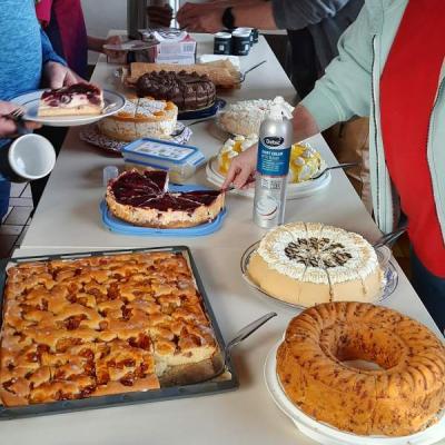 2026 03 06 08 Jhv Lv Owl Bullenranch 013